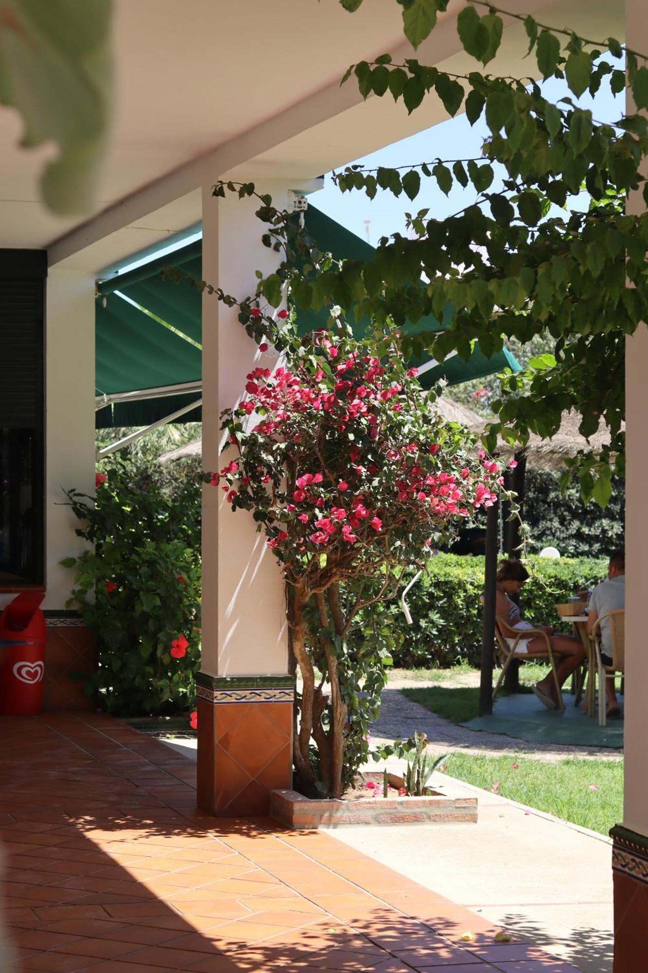 Hostal Restaurante La Ilusion El Palmar de Vejer Exterior foto