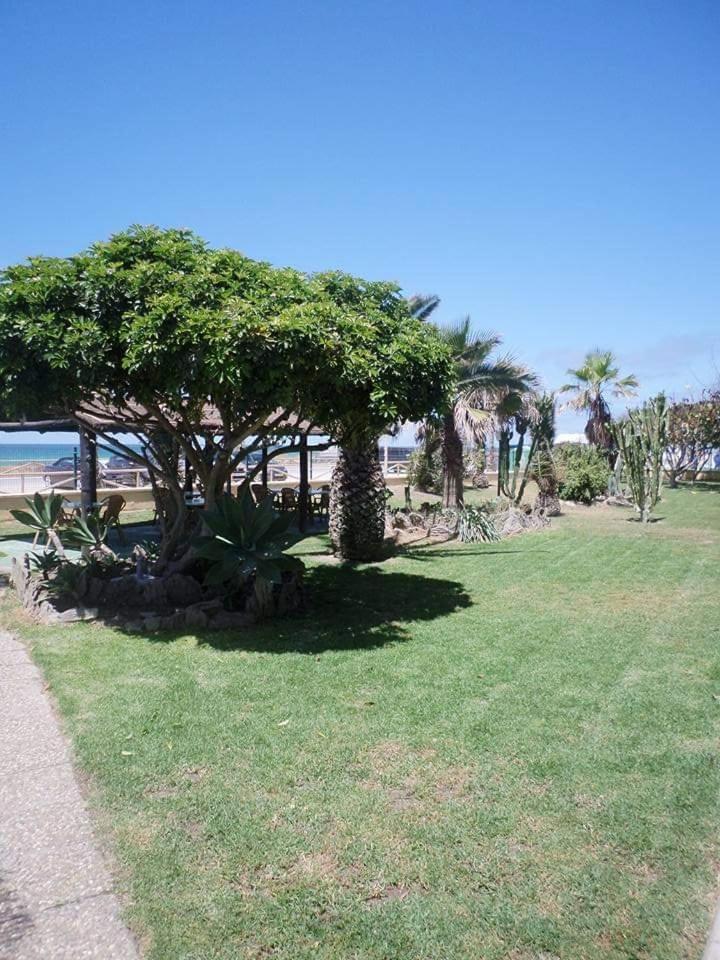 Hostal Restaurante La Ilusion El Palmar de Vejer Exterior foto