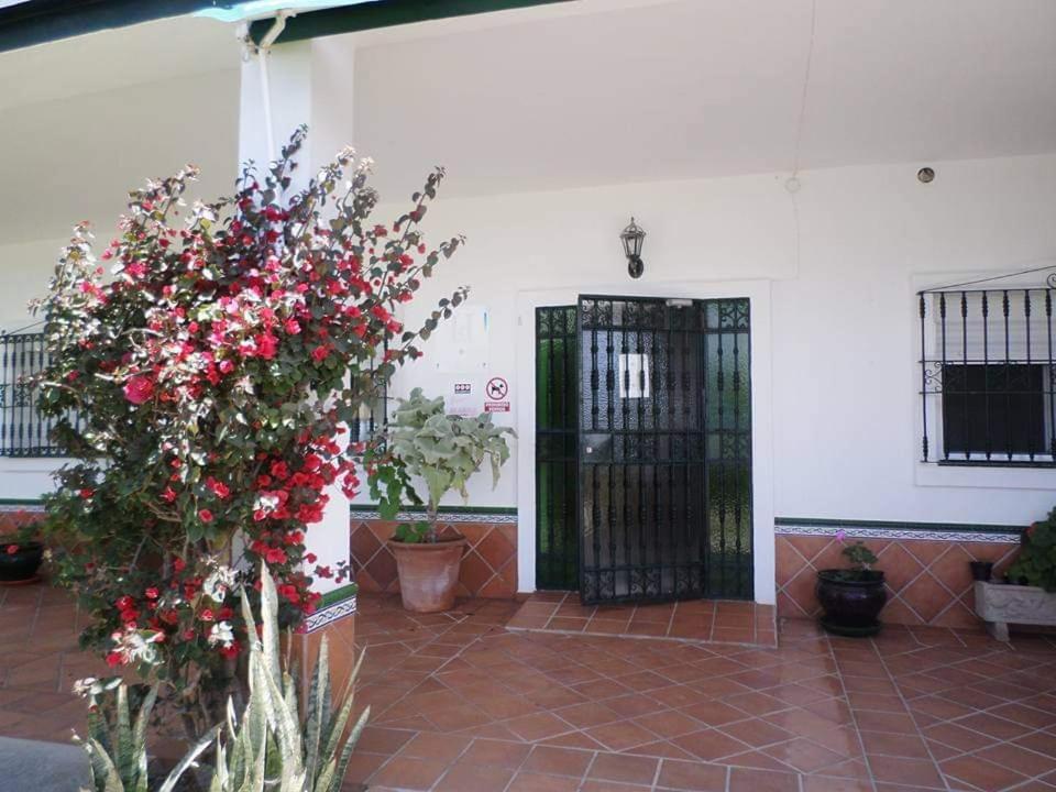 Hostal Restaurante La Ilusion El Palmar de Vejer Exterior foto
